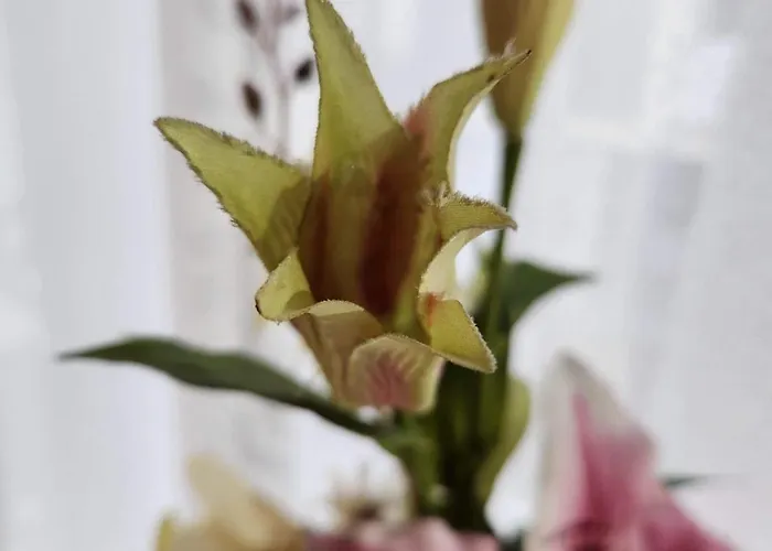 Bed & Breakfast Schiff Rastatt